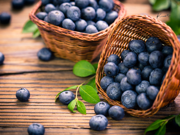 ブルーベリー/ Blue Berries