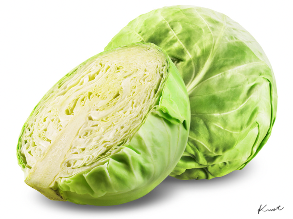 キャベツ/ Cabbage