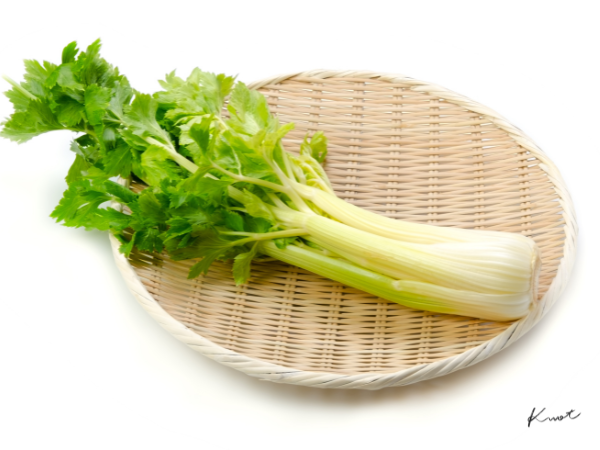 セロリ/Celery