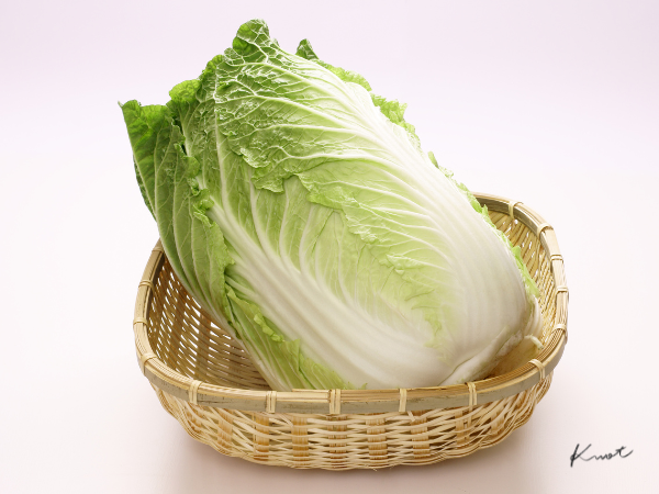 白菜/Chinese cabbage