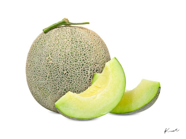 メロン/Melon